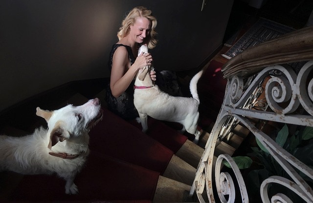 Une propriétaire de chiens construit un monte-escalier pour ses