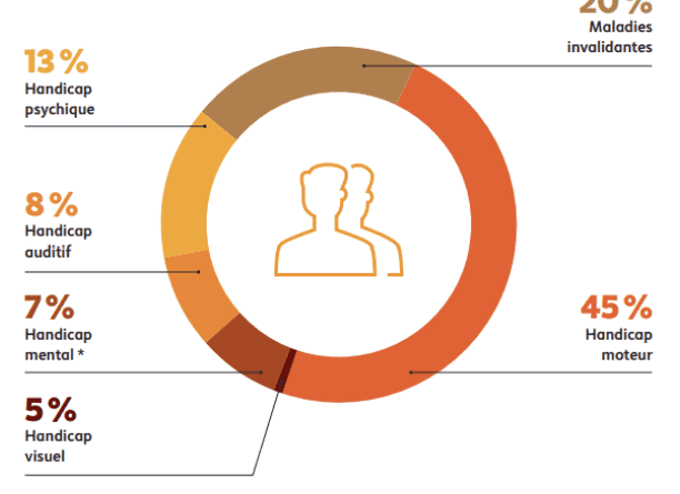 Type handicape en France par AGEFIPH